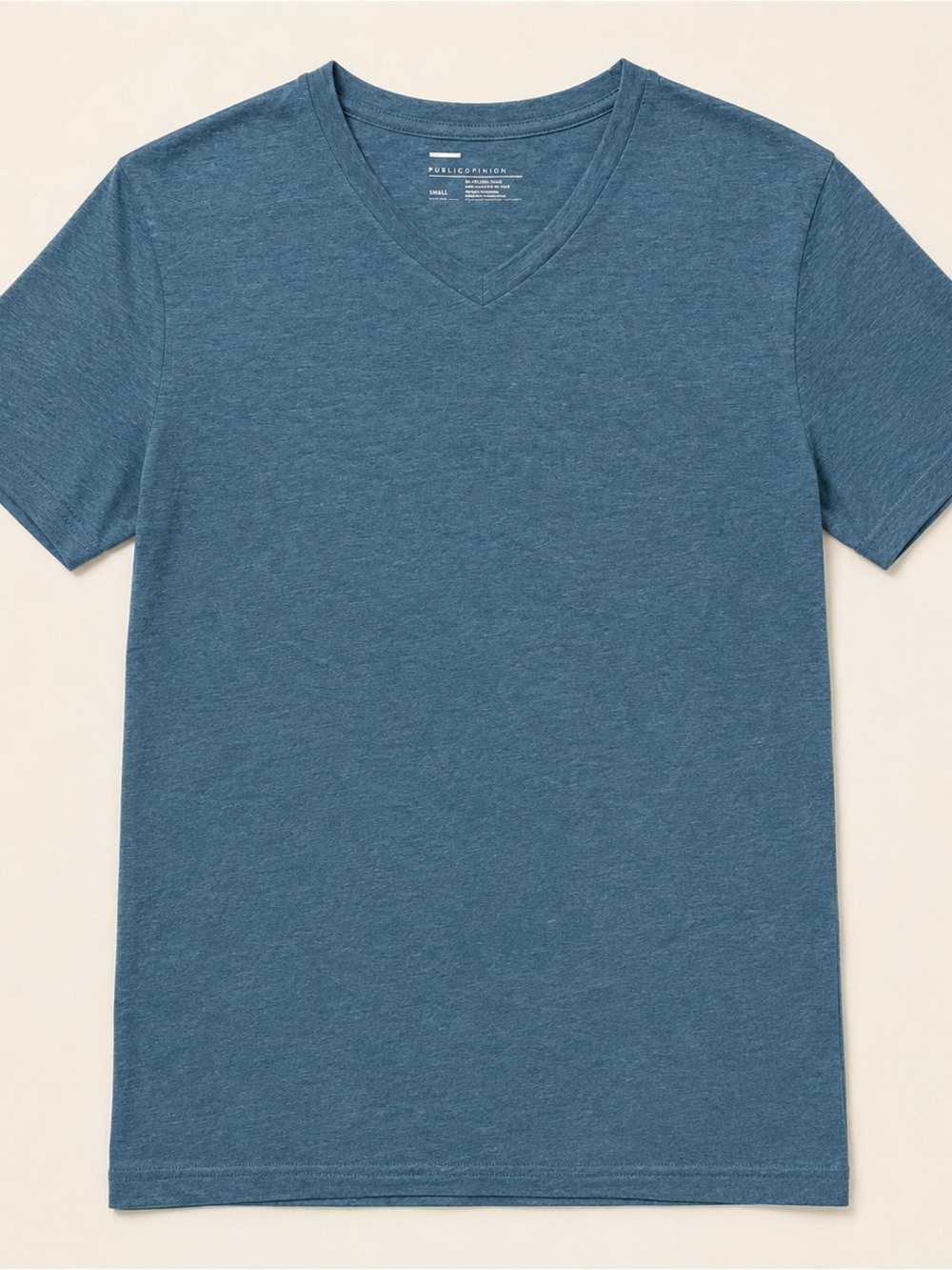 Public Opinion Men's V-Neck Tee in Heather Blue